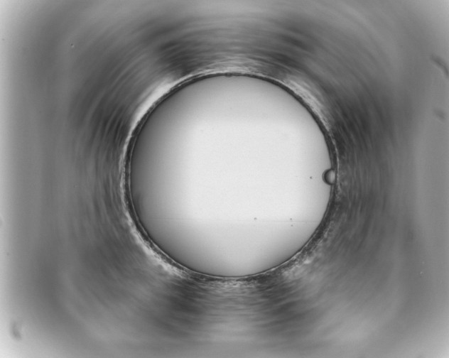 X0000094200949200710260909