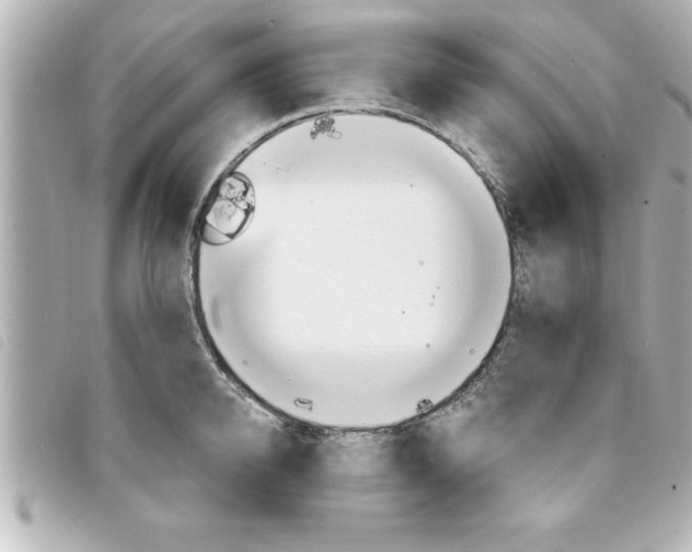 X0000094200950200710260909