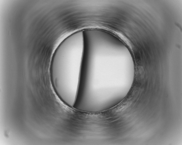 X0000094200951200710260910
