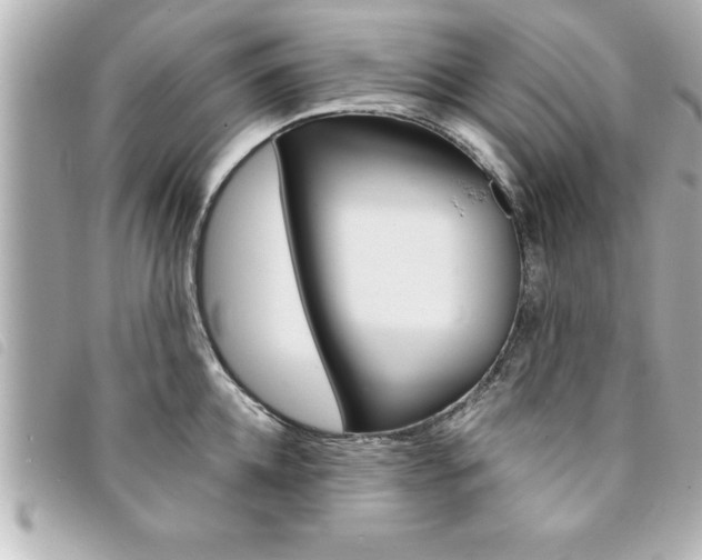 X0000094200952200710260910