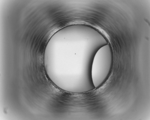 X0000094200953200710260910