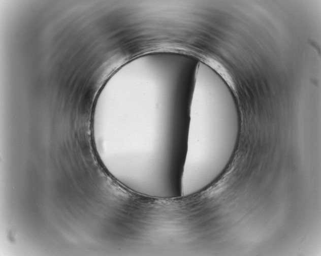 X0000094200954200710260910