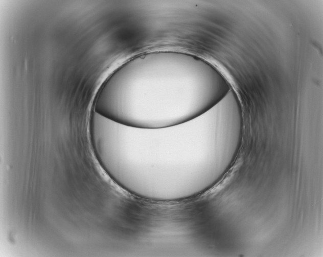 X0000094200957200710260910