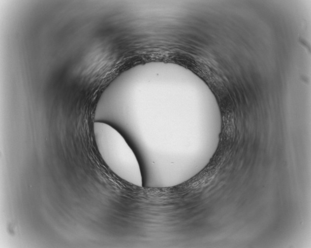 X0000094200962200710260909