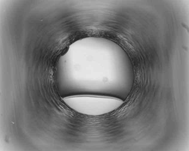 X0000094200964200710260909