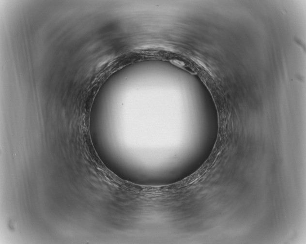 X0000094200965200710260909