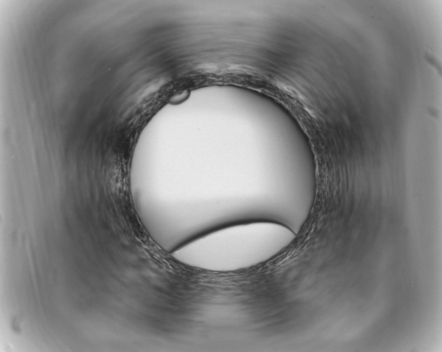 X0000094200966200710260909