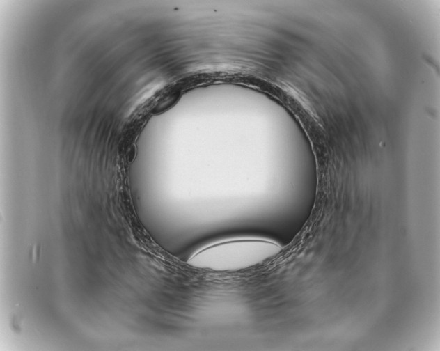 X0000094200967200710260909