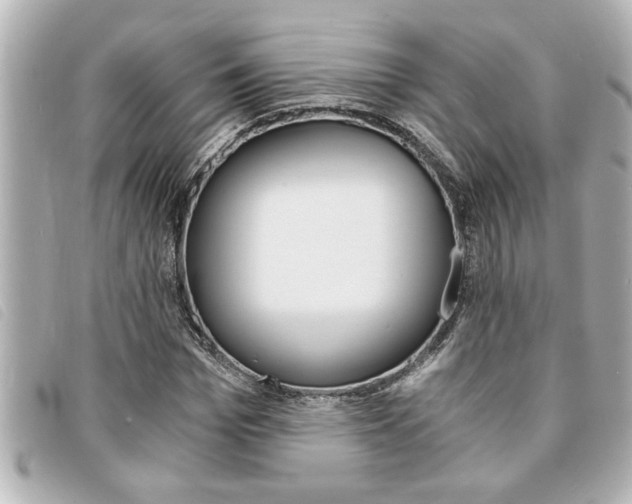 X0000094200969200710260909