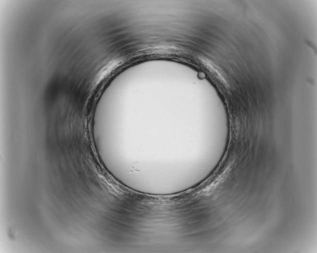 X0000094200970200710260909