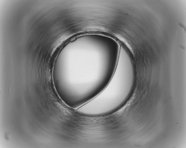 X0000094200973200710260909