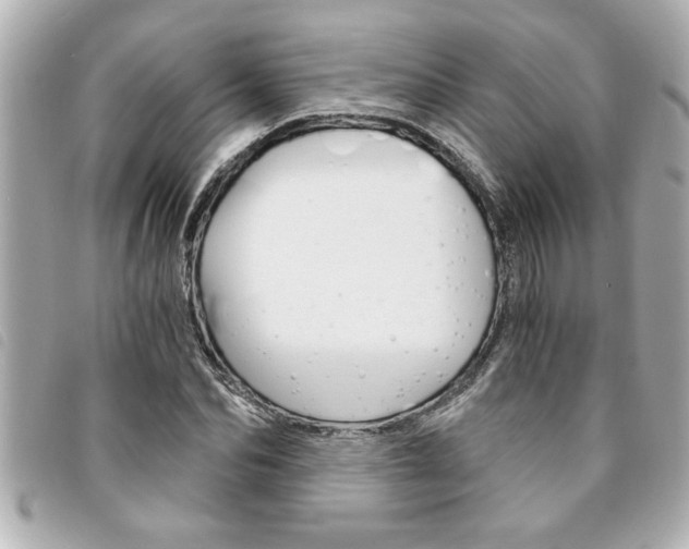 X0000094200974200710260909