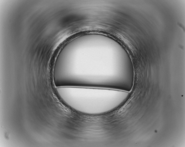 X0000094200975200710260909
