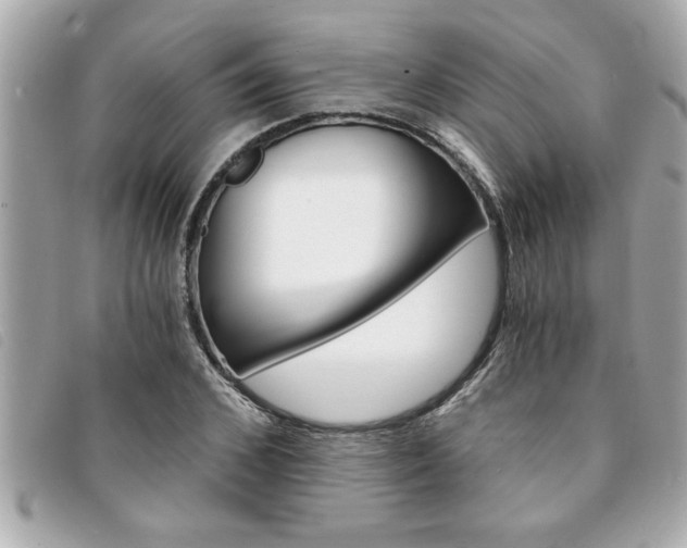 X0000094200976200710260909