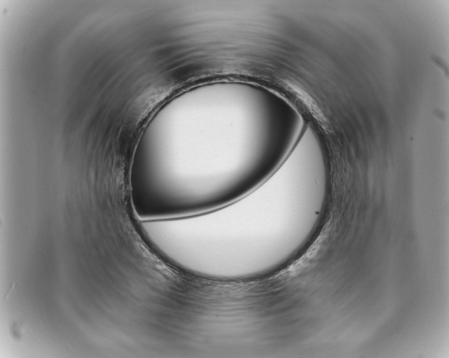 X0000094200977200710260909
