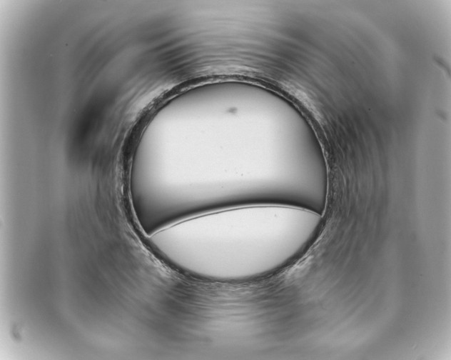 X0000094200979200710260909