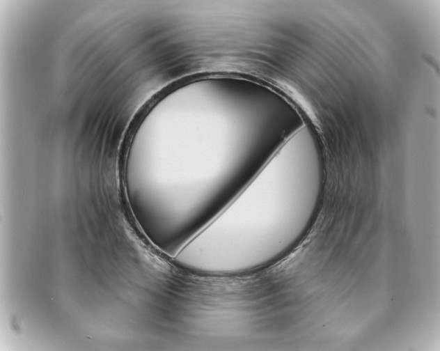 X0000094200980200710260909