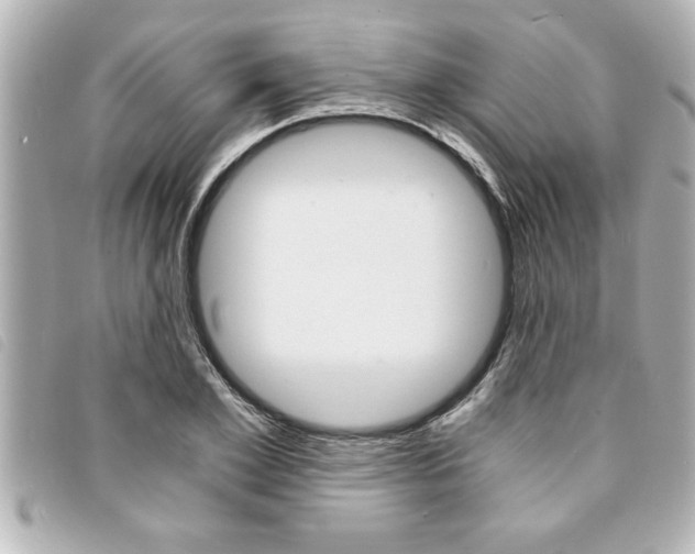 X0000094200981200710260909