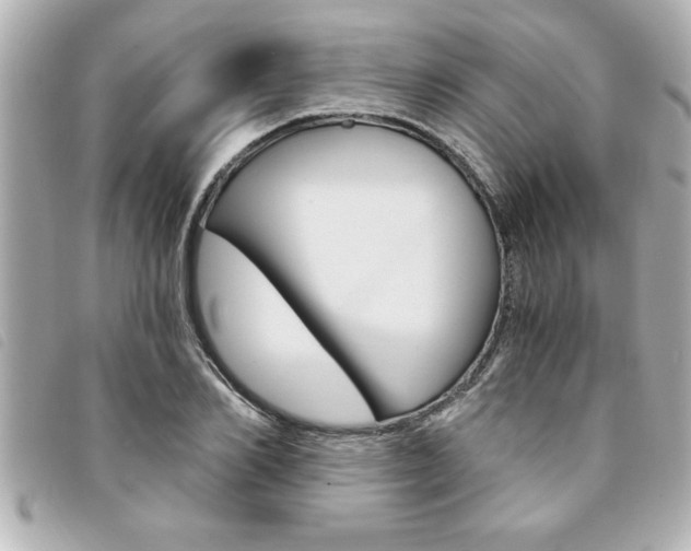 X0000094200982200710260909