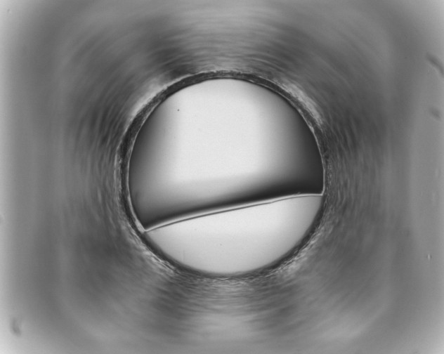 X0000094200983200710260909