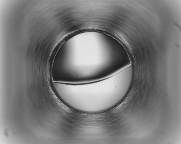 X0000094200984200710260909