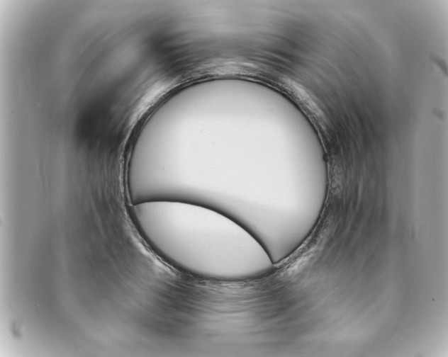 X0000094200986200710260909