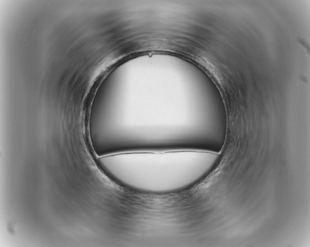 X0000094200987200710260909