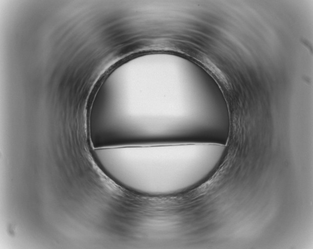 X0000094200988200710260909