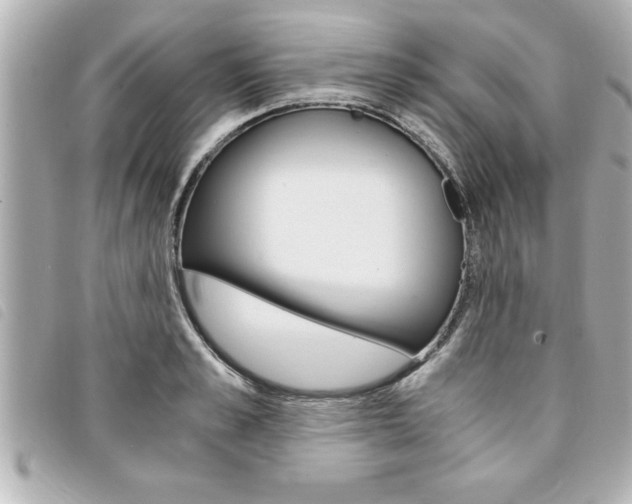 X0000094200989200710260909