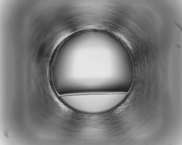 X0000094200991200710260909
