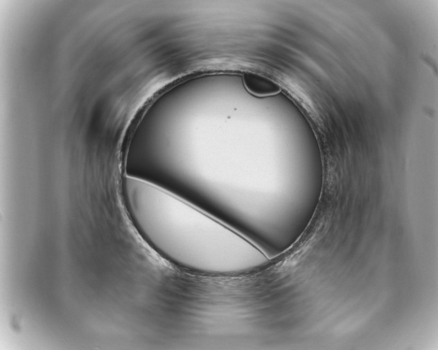 X0000094200992200710260909