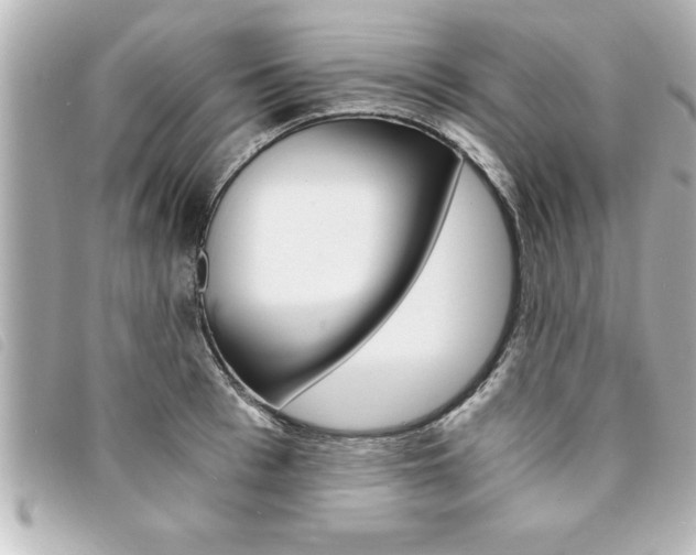 X0000094200993200710260908