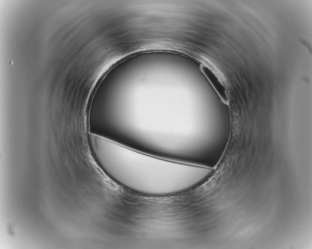 X0000094200996200710260908