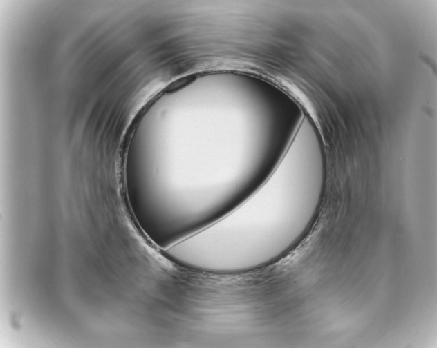 X0000094200997200710260908