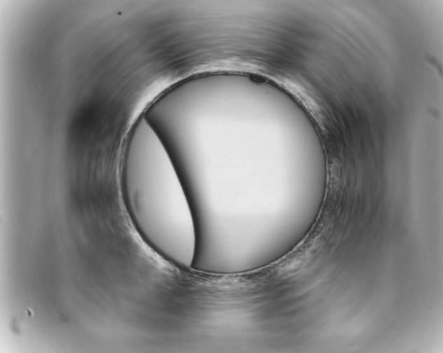 X0000094200998200710260908