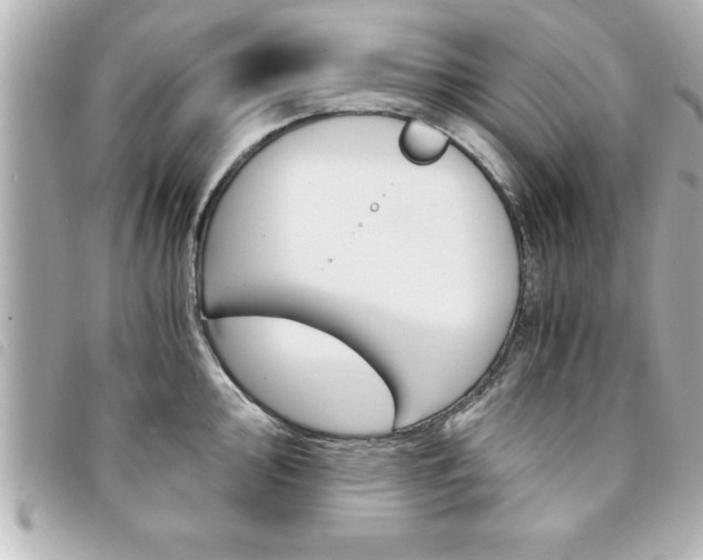 X0000094201000200710260908