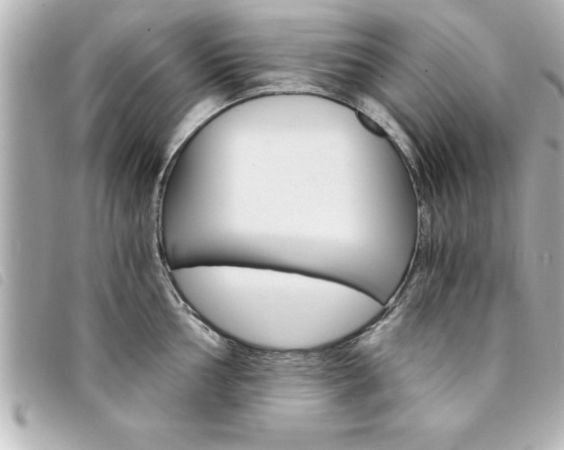 X0000094201002200710260908