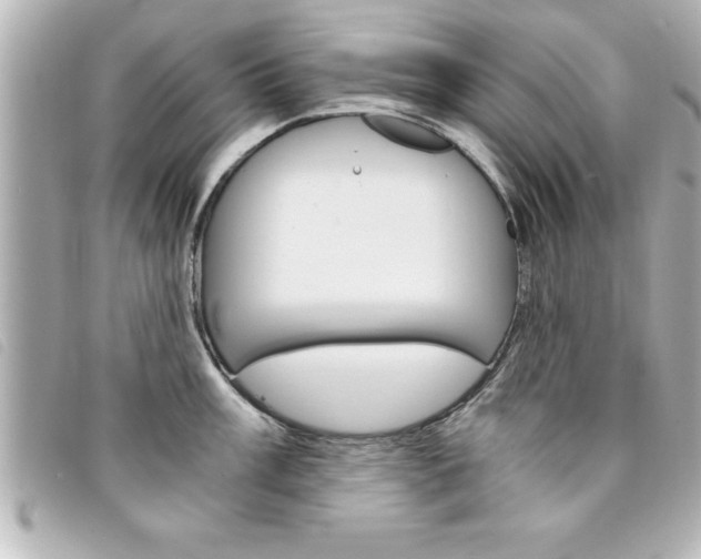 X0000094201003200710260908