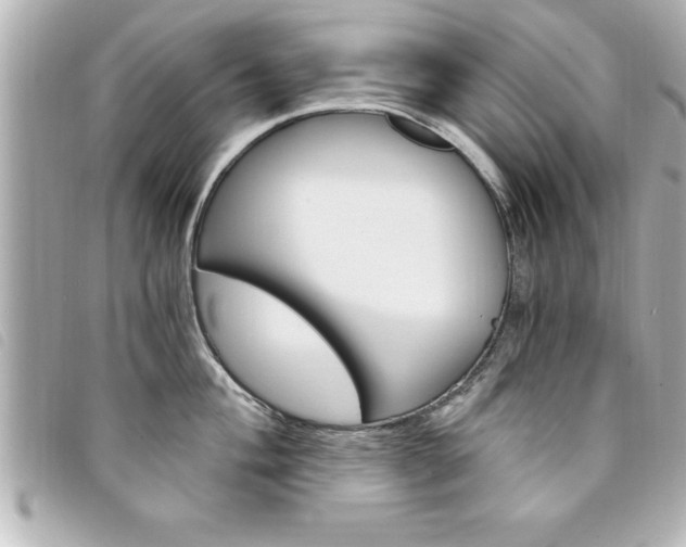 X0000094201004200710260908