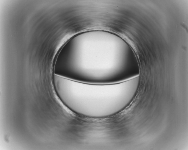 X0000094201005200710260908