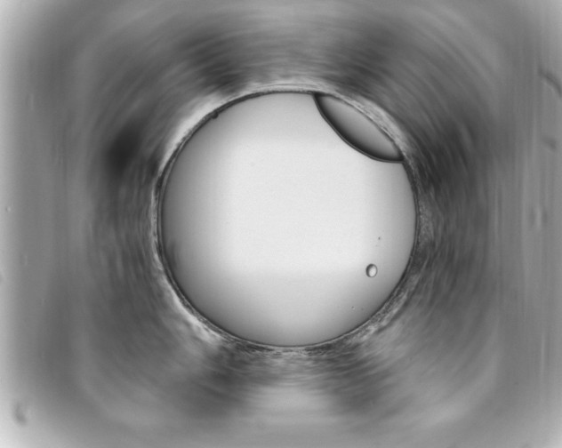 X0000094201006200710260908