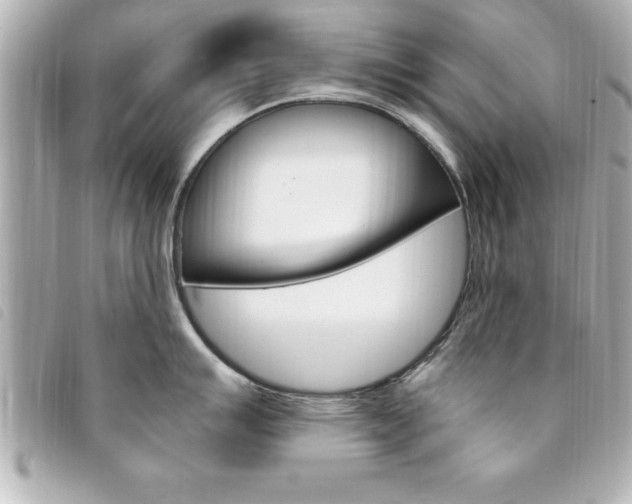 X0000094201007200710260908