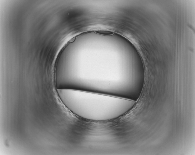 X0000094201008200710260908
