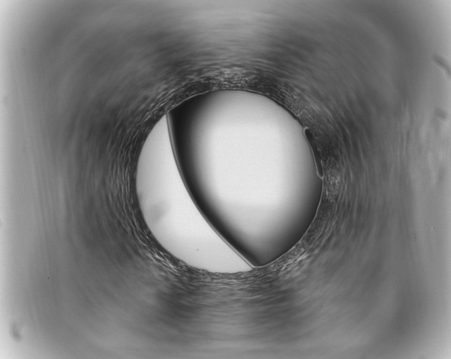 X0000094201010200710260908