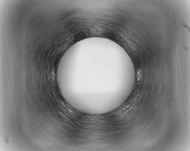 X0000094201011200710260908
