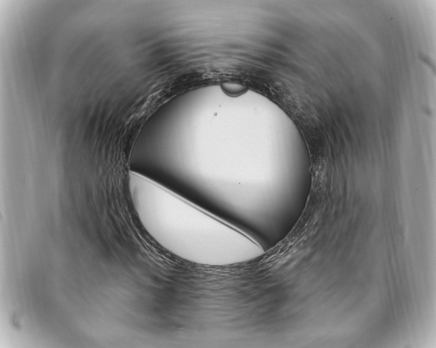 X0000094201012200710260908