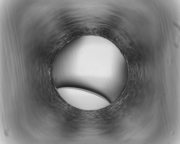X0000094201013200710260908