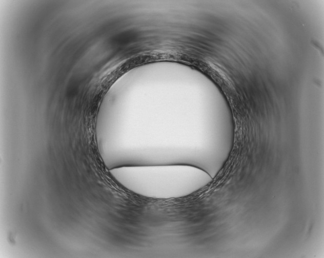 X0000094201015200710260908