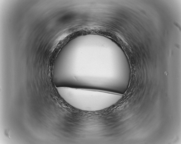X0000094201016200710260908
