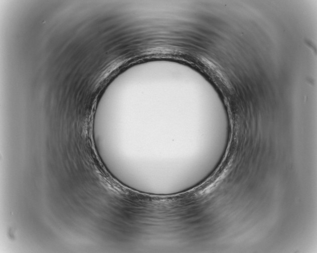 X0000094201017200710260908